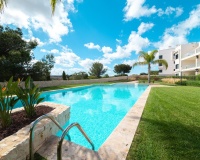 Venta - Apartment - Pilar de La Horadada - Pilar de la Horadada Centro