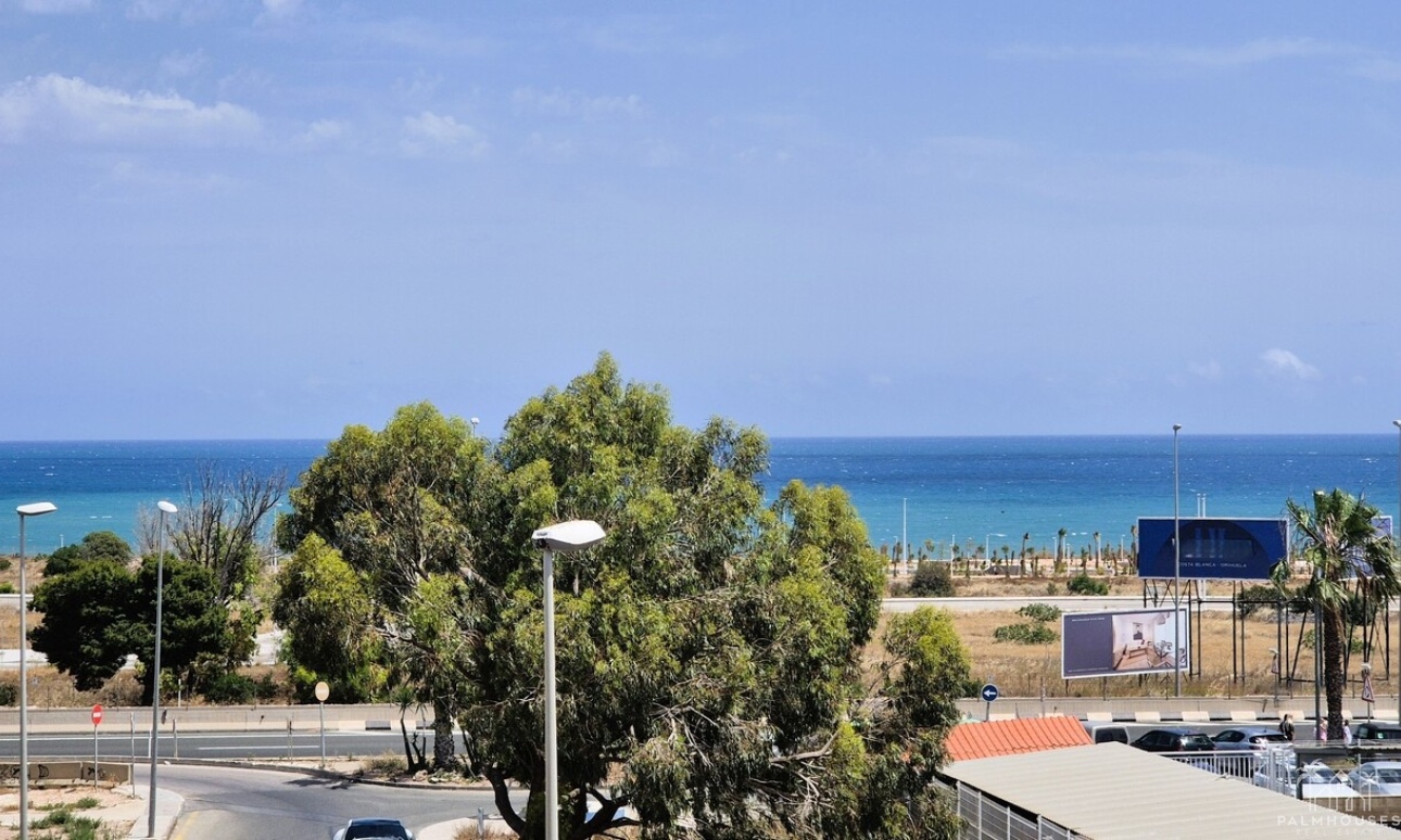 Venta - Apartment - Playa Flamenca - Costa Blanca