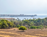 Venta - Apartment - Punta Prima - Costa Blanca