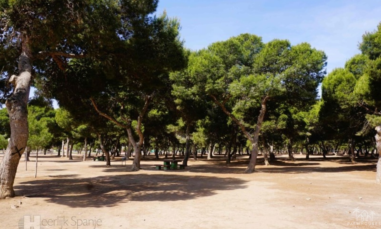 Venta - Apartment - San Javier - Santiago De La Ribera