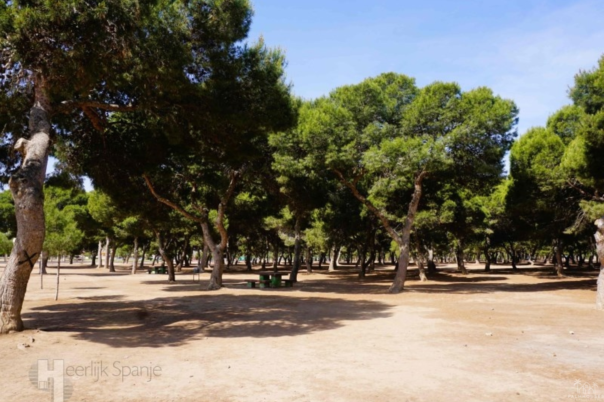 Venta - Apartment - San Javier - Santiago De La Ribera