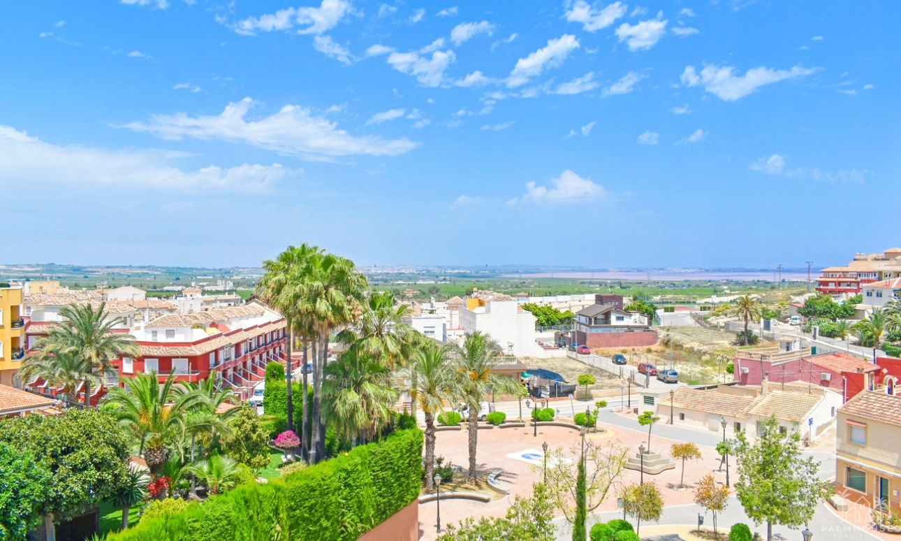 Venta - Apartment - San Miguel de Salinas - Inland