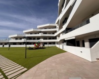 Venta - Apartment - San Miguel de Salinas - San Miguel de Salinas Centro