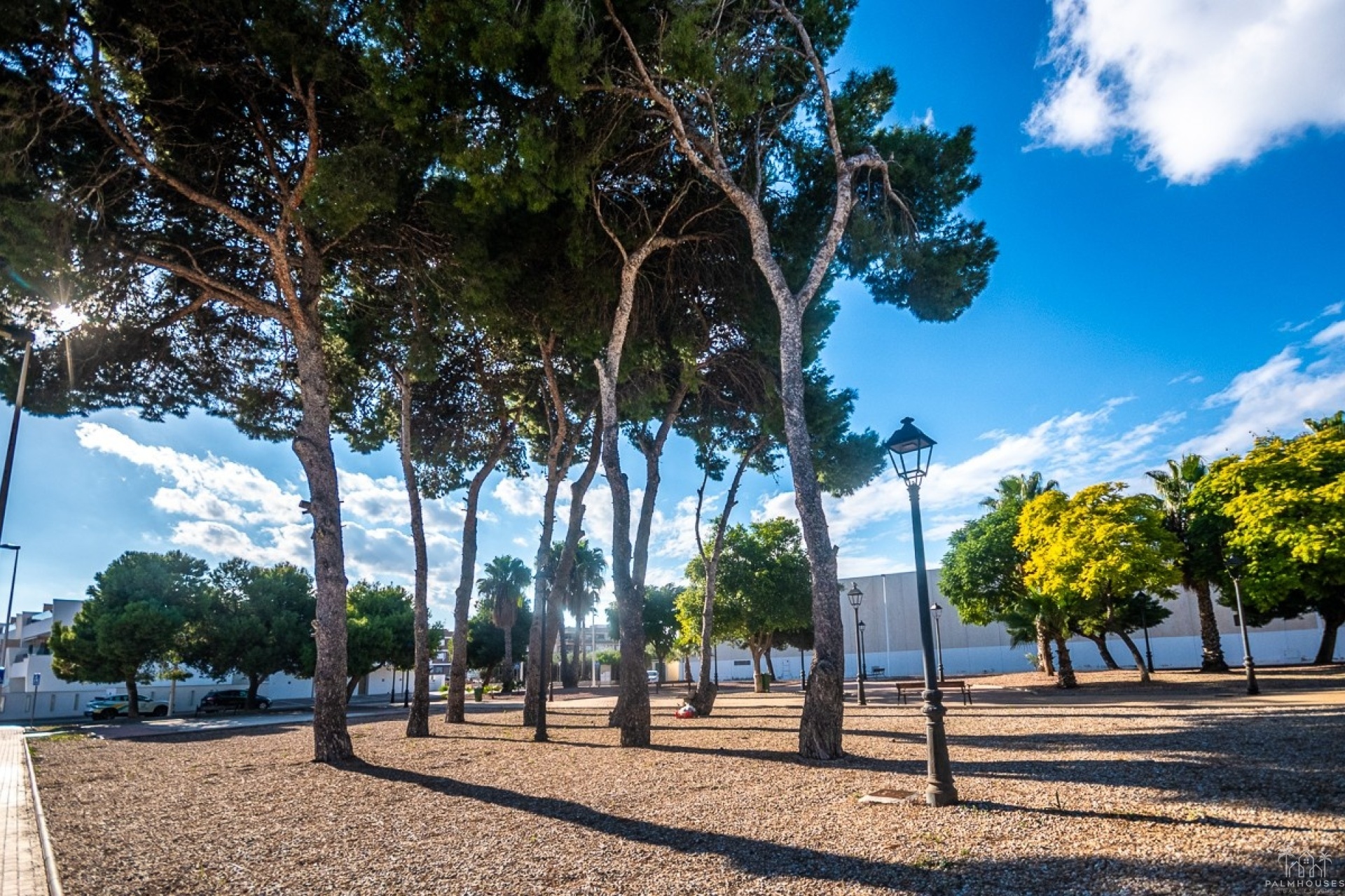 Venta - Apartment - San Pedro del Pinatar - Costa Calida