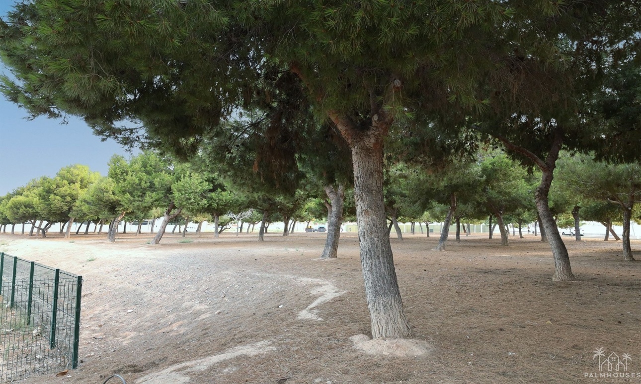 Venta - Apartment - San Pedro del Pinatar - Costa Calida