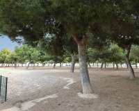 Venta - Apartment - San Pedro del Pinatar - Costa Calida