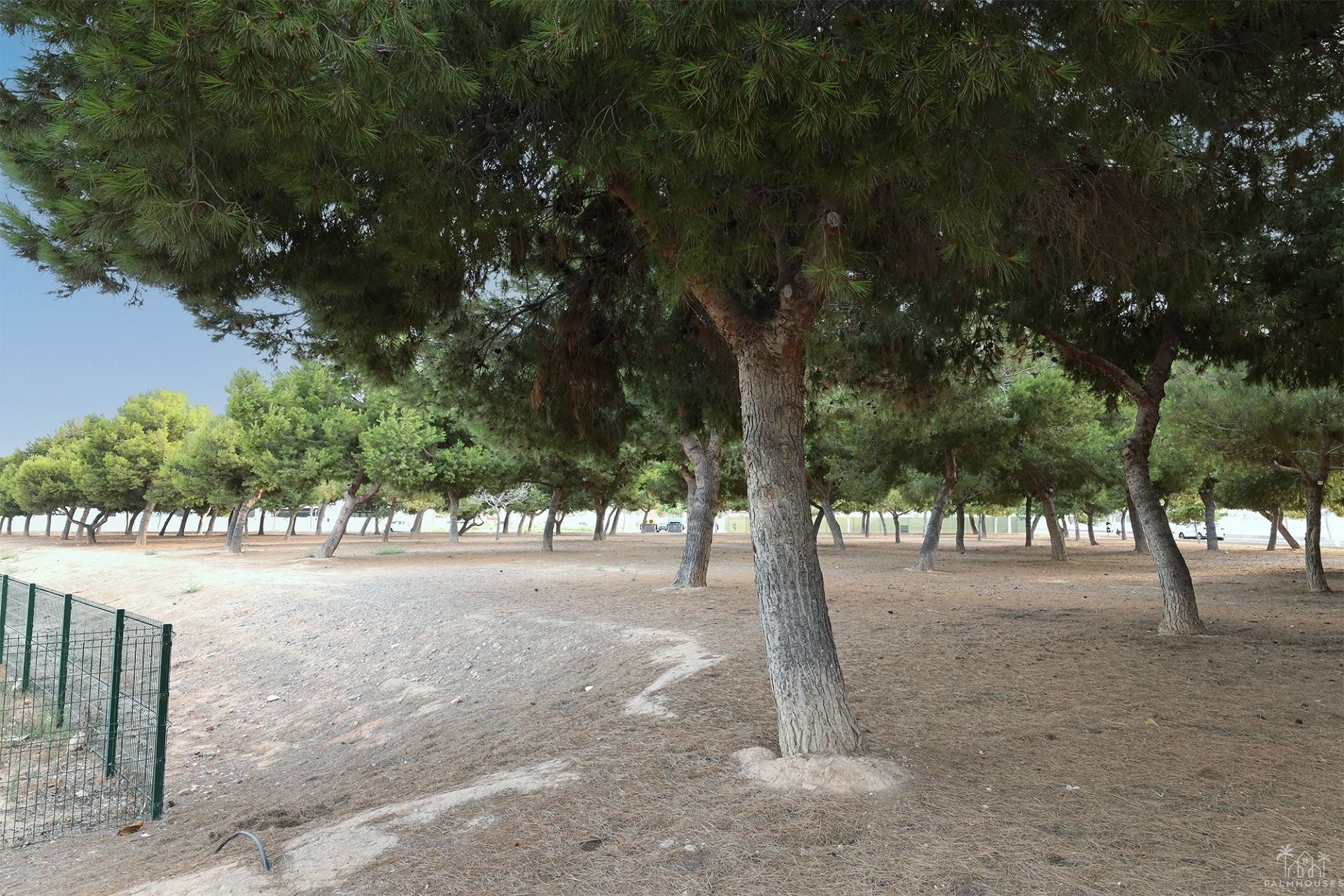 Venta - Apartment - San Pedro del Pinatar - Costa Calida