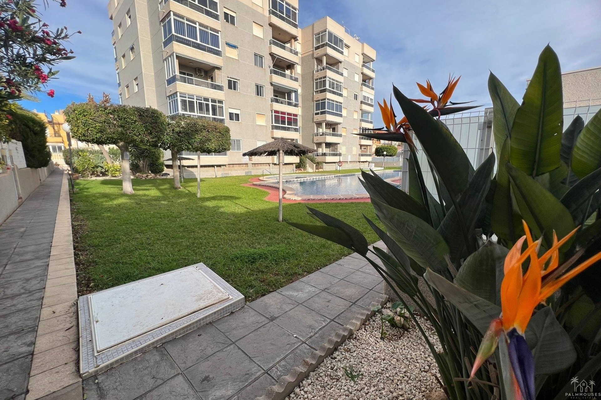 Venta - Apartment - Torrevieja - Aguas Nuevas
