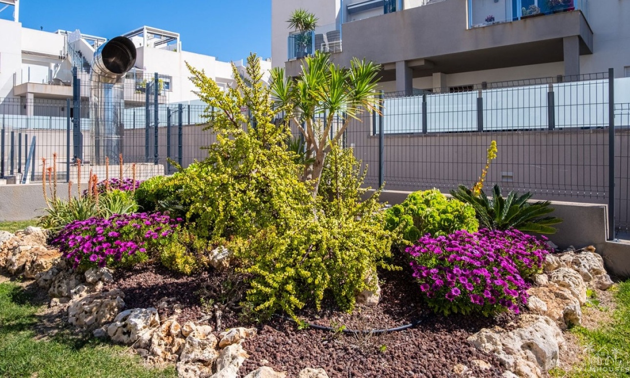 Venta - Apartment - Torrevieja - Aguas Nuevas