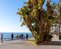 Venta - Apartment - Torrevieja - Antonio Machado