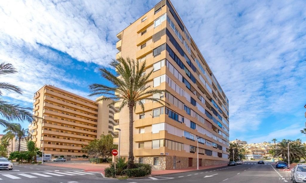 Venta - Apartment - Torrevieja - Cabo cervera