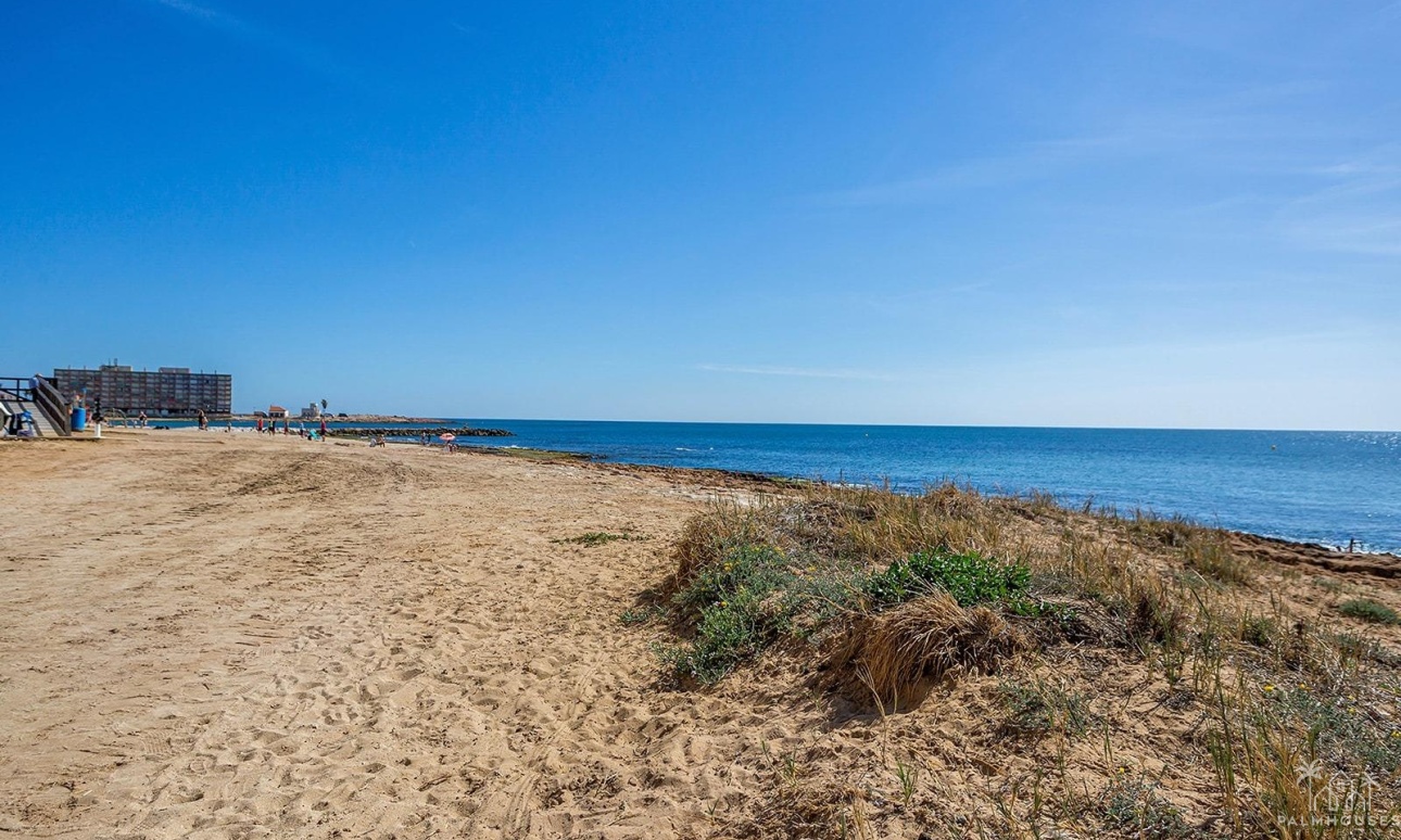 Venta - Apartment - Torrevieja - Center