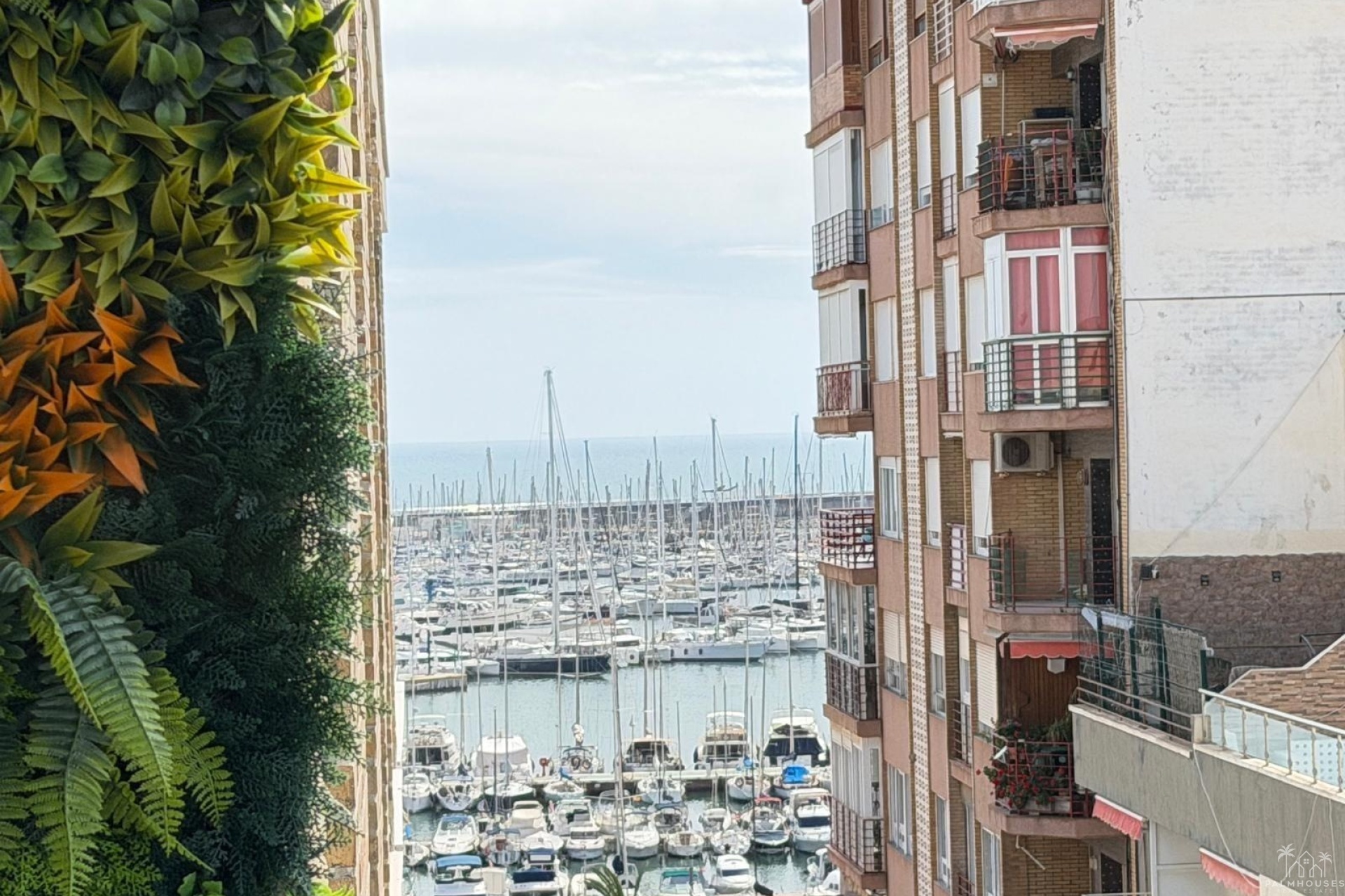 Venta - Apartment - Torrevieja - Center