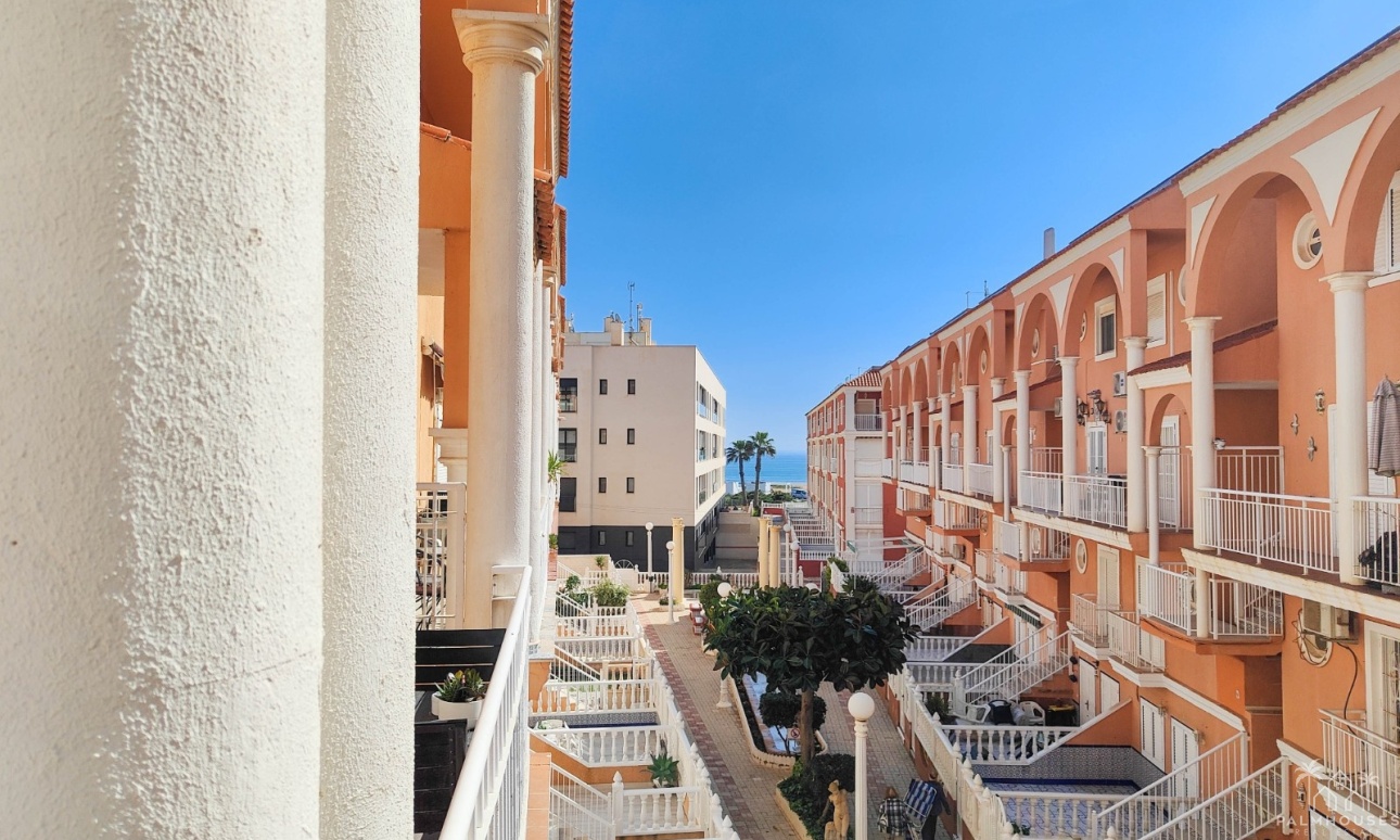 Venta - Apartment - Torrevieja - Costa Blanca
