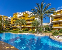 Venta - Apartment - Torrevieja - Costa Blanca