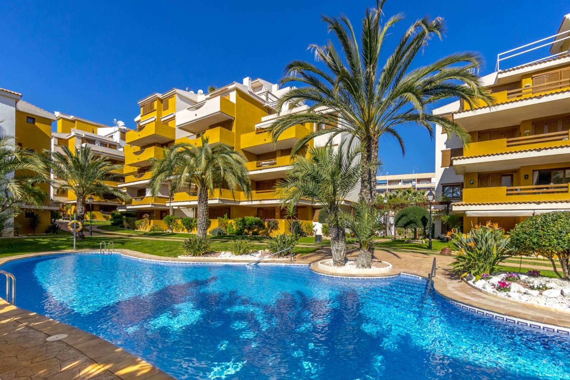 Venta - Apartment - Torrevieja - Costa Blanca