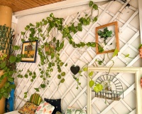 Venta - Apartment - Torrevieja - Costa Blanca