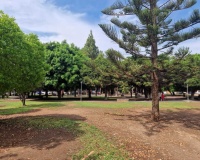 Venta - Apartment - Torrevieja - Costa Blanca