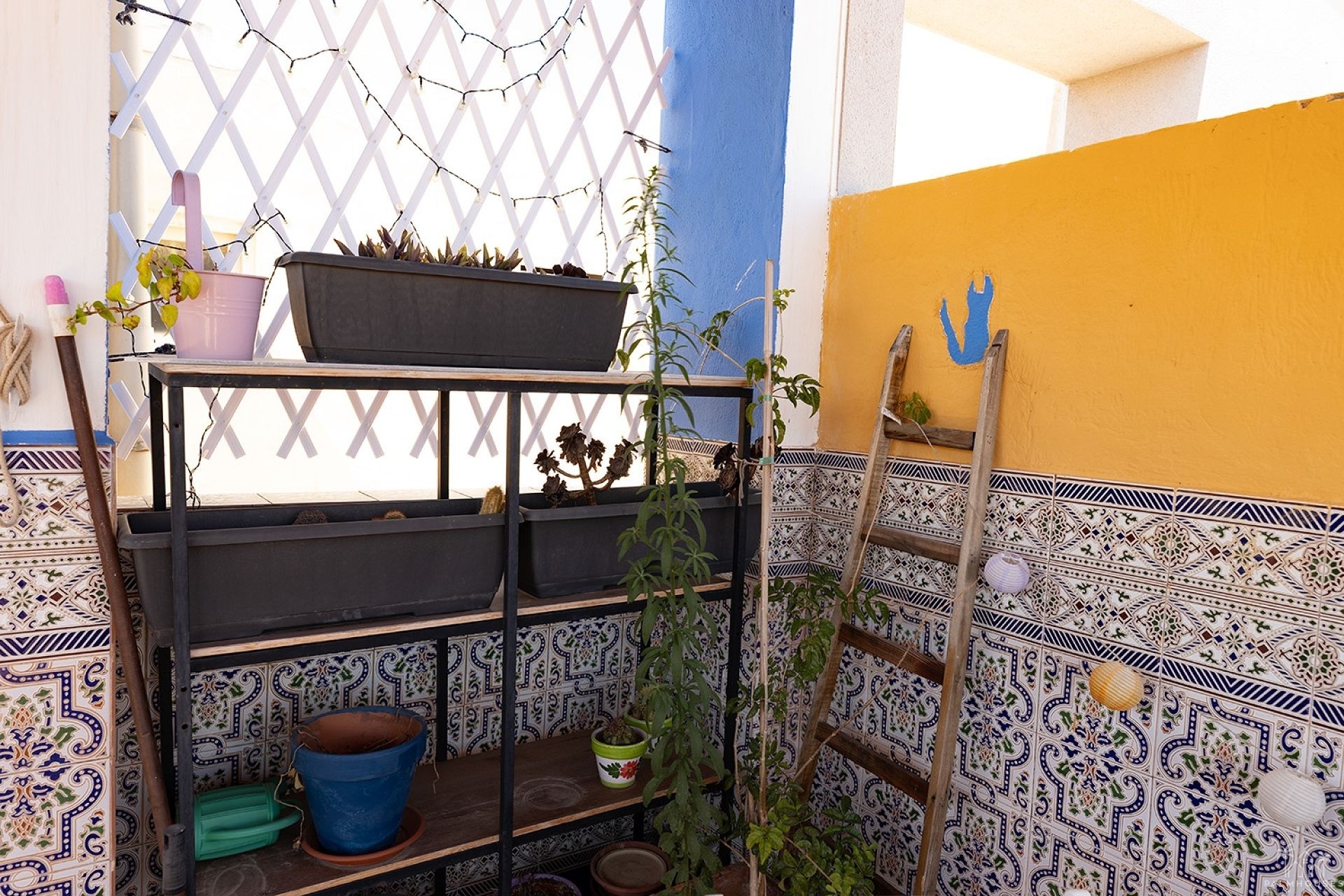 Venta - Apartment - Torrevieja - Costa Blanca