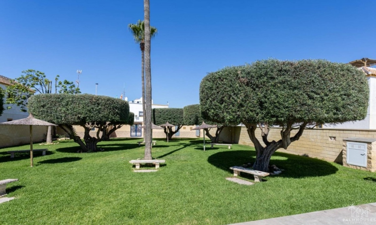 Venta - Apartment - Torrevieja - Costa Blanca