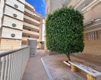 Venta - Apartment - Torrevieja - Habaneras