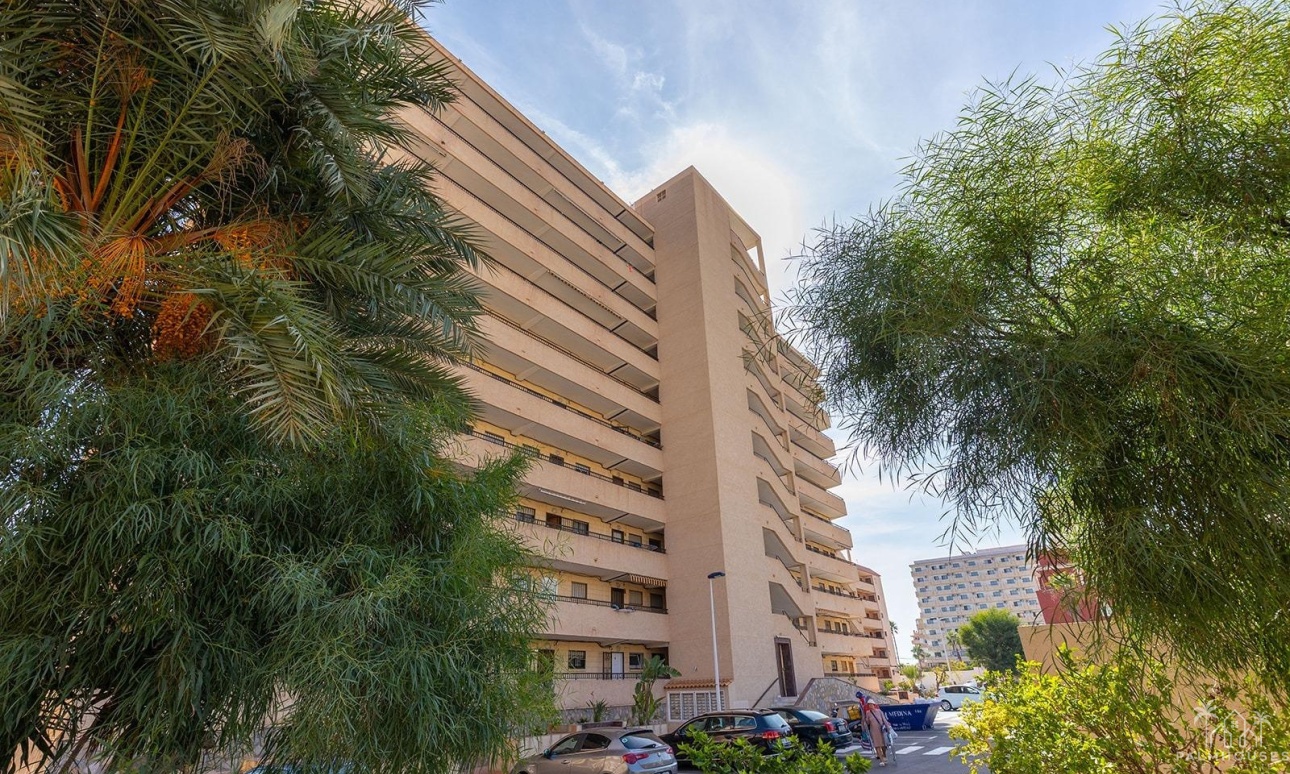 Venta - Apartment - Torrevieja - La Mata