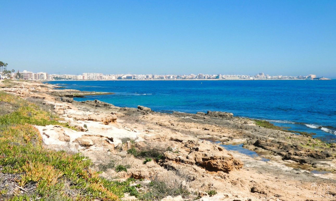 Venta - Apartment - Torrevieja - La Veleta