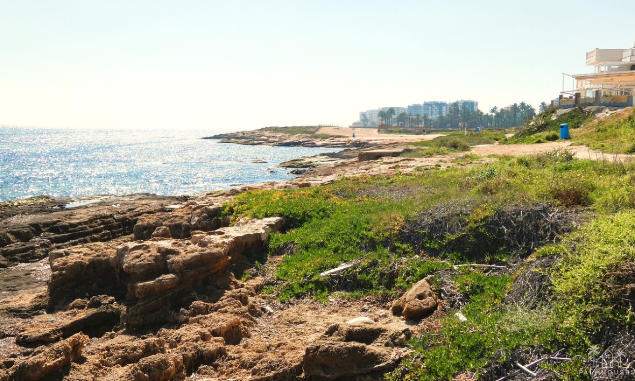 Venta - Apartment - Torrevieja - La Veleta