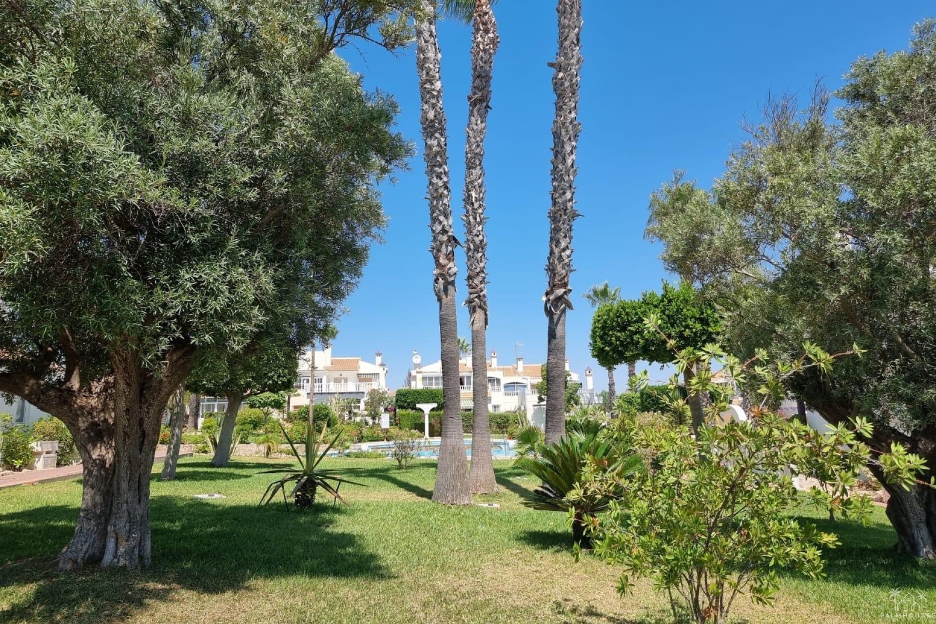 Venta - Apartment - Torrevieja - Los Balcones