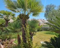 Venta - Apartment - Torrevieja - Los Balcones