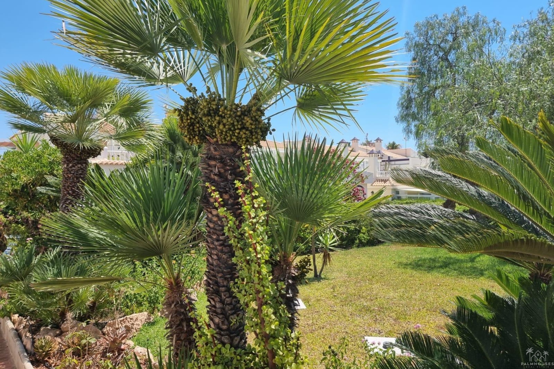 Venta - Apartment - Torrevieja - Los Balcones