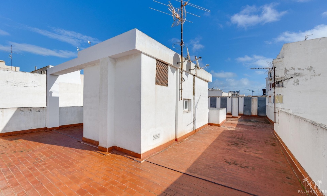 Venta - Apartment - Torrevieja - Paseo maritimo
