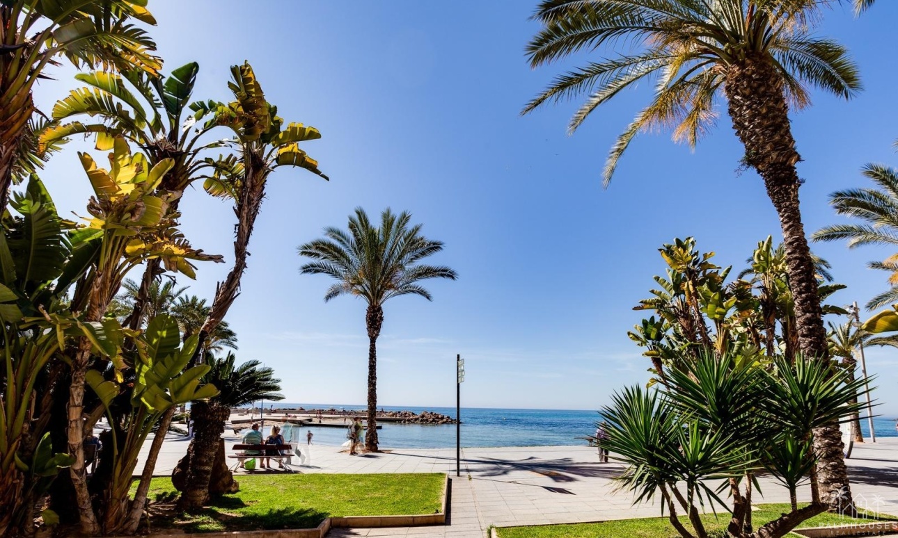 Venta - Apartment - Torrevieja - Paseo maritimo