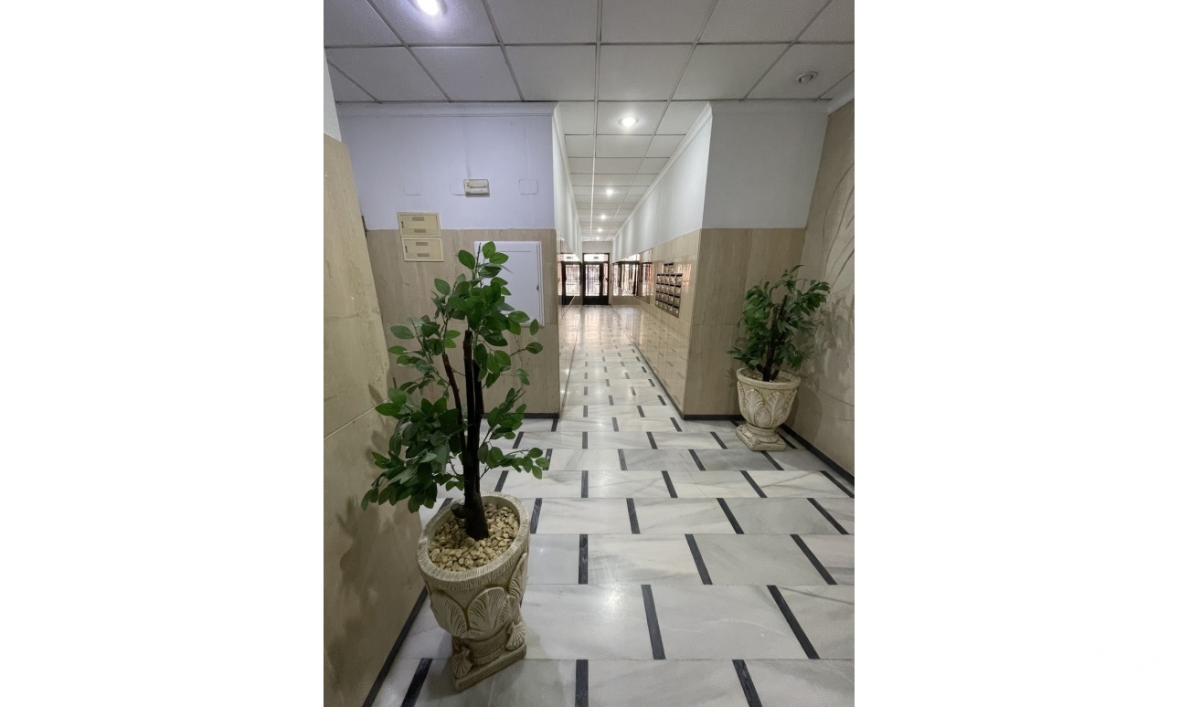 Venta - Apartment - Torrevieja - Playa de cura