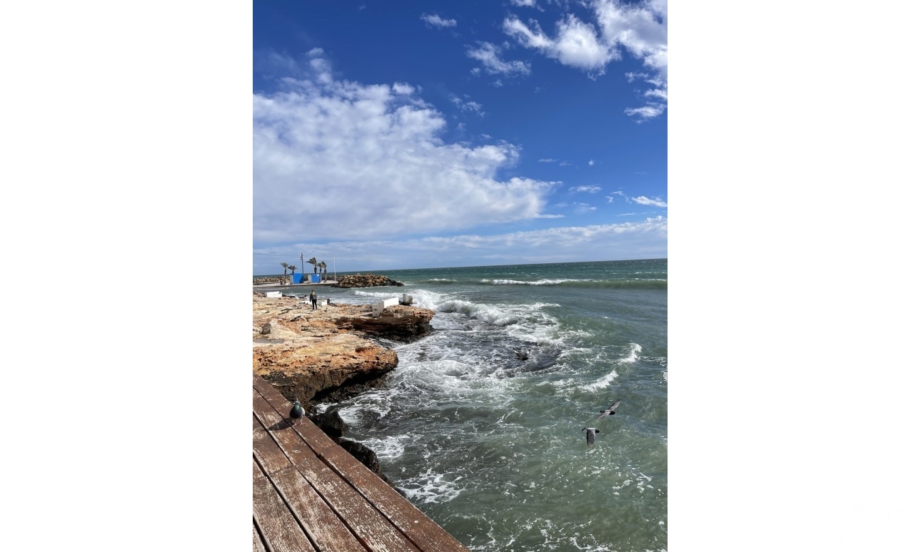 Venta - Apartment - Torrevieja - Playa de cura