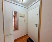Venta - Apartment - Torrevieja - Playa del cura