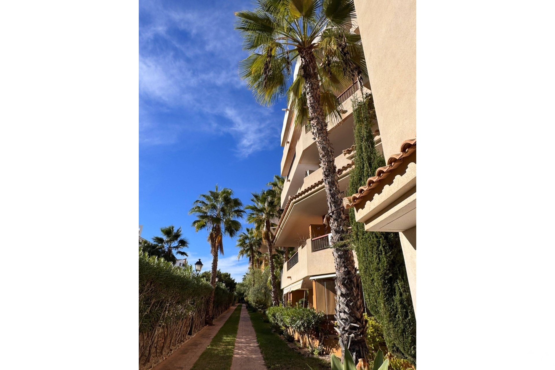 Venta - Apartment - Torrevieja - Punta Prima