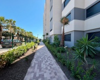 Venta - Apartment - Torrevieja - Punta Prima
