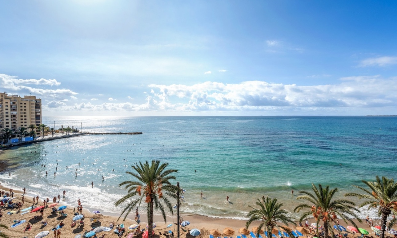 Venta - Apartment - Torrevieja - Torrevieja Centro