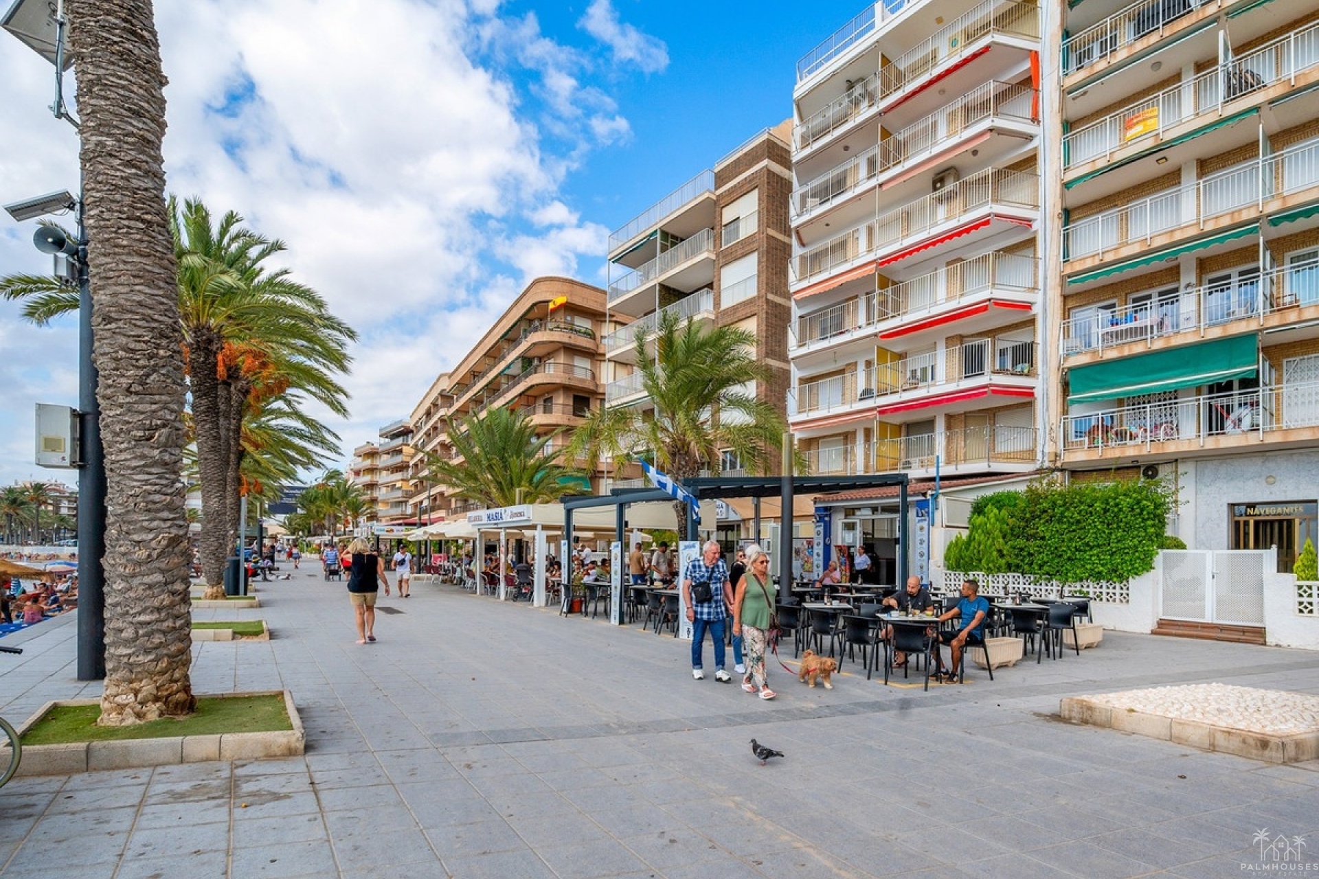 Venta - Apartment - Torrevieja - Torrevieja Centro