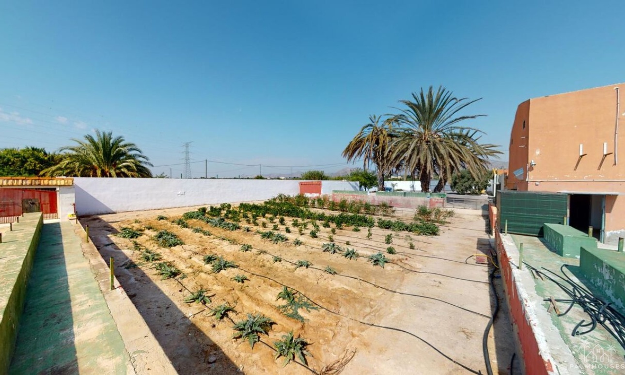 Venta - Casa - Albatera - Inland