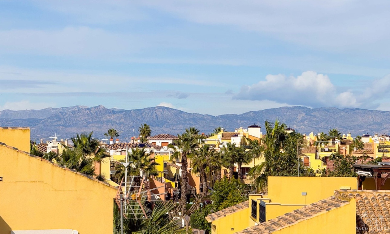 Venta - Casa - Algorfa - Algorfa Centro