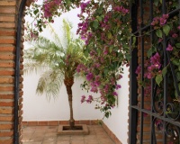 Venta - Casa - Almáchar - Inland