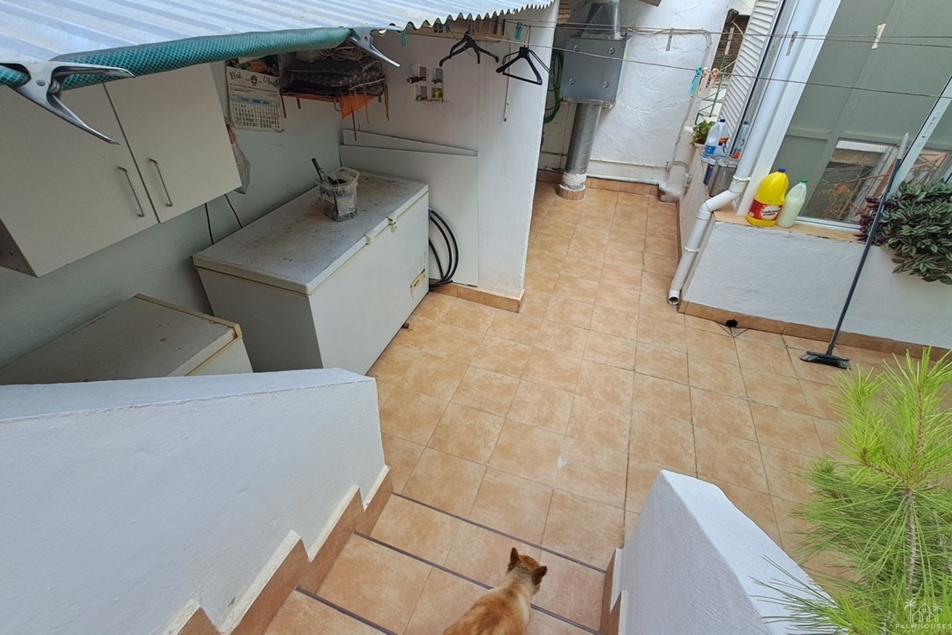 Venta - Casa - Benijofar - Costa Blanca