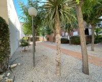 Venta - Casa - Elche - Center