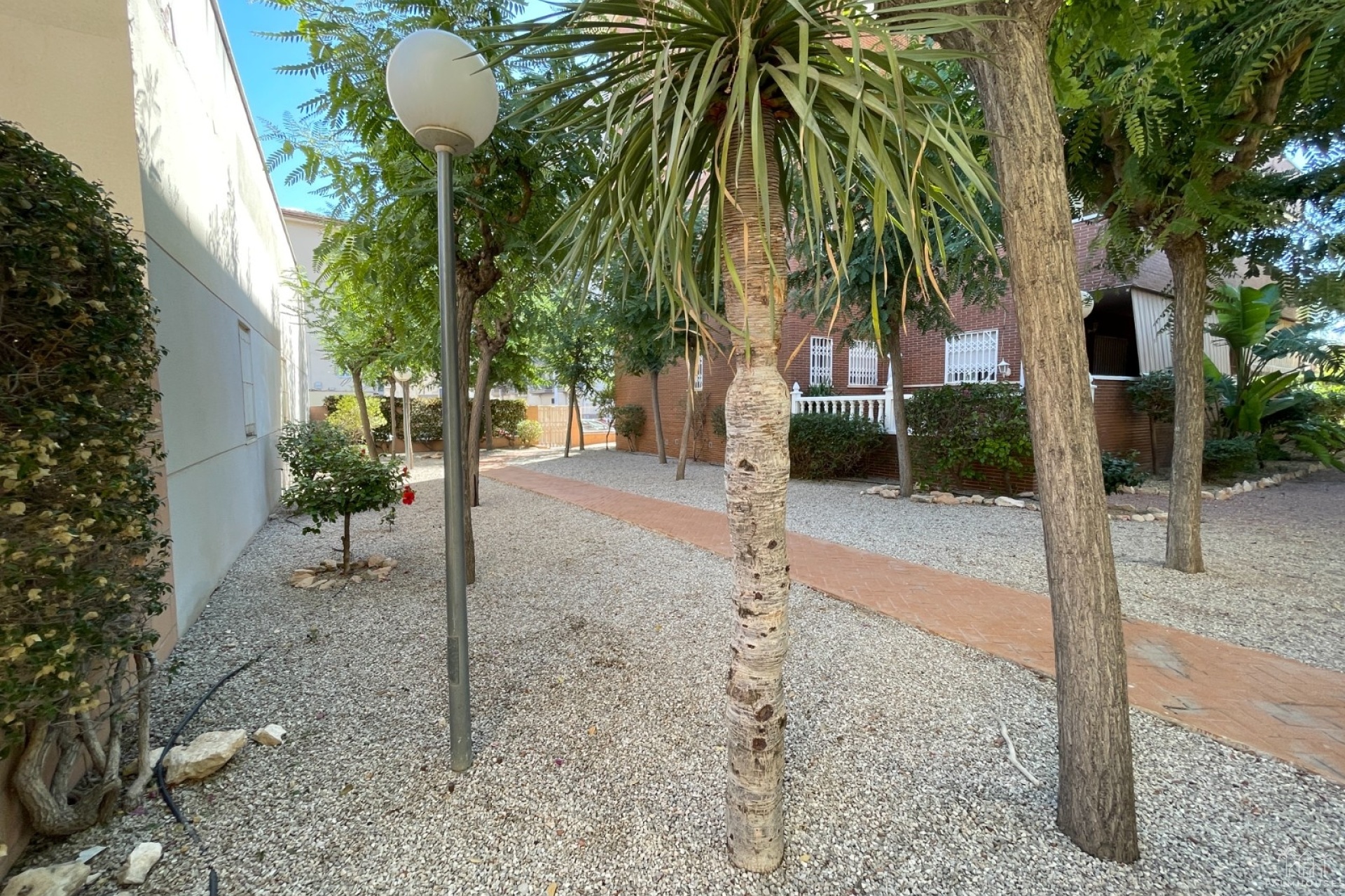 Venta - Casa - Elche - Center