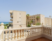 Venta - Casa - Orihuela - Dehesa de Campoamor