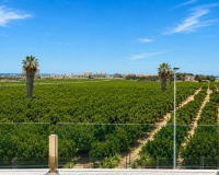 Venta - Casa - Orihuela - Los Balcones