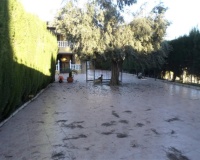 Venta - Casa - Orihuela - Orihuela Centro