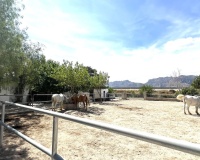 Venta - Casa - Orihuela - Orihuela Centro